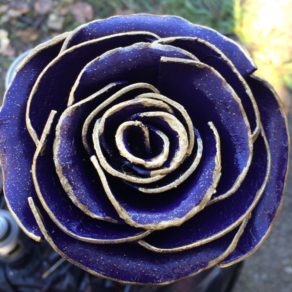 277349723_100757945933295_9113826151762928893_n